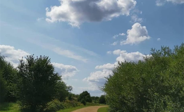 Image 7 of 9