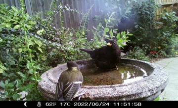 Image 19 of 25