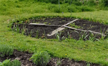 Image 44 of 52