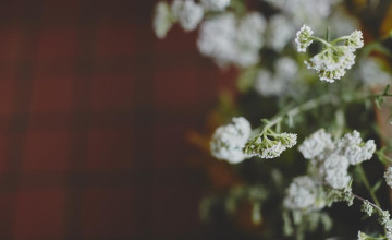 Image 11 of 23