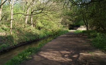 Image 6 of 18