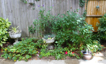 Image 21 of 25