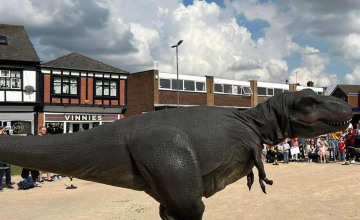 Image 17 of 21