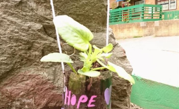 Image 7 of 24
