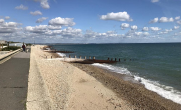 Image 16 of 18