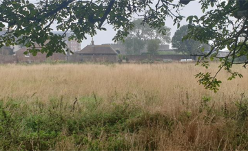 Image 18 of 52