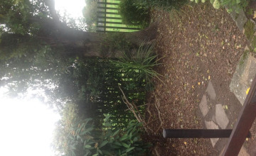Image 3 of 17