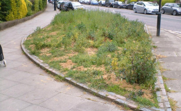 Image 2 of 8