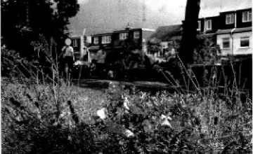 Image 3 of 6