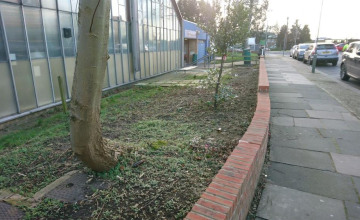 Image 5 of 6