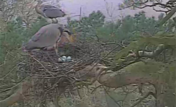 Image 6 of 6