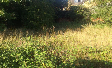 Image 5 of 8