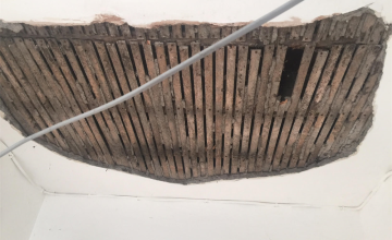Image 1 of 12