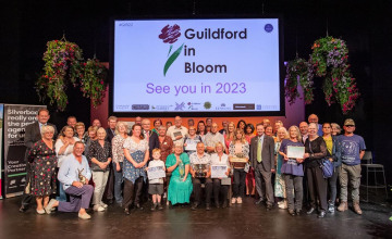 Image 15 of 25