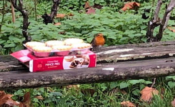 Image 2 of 16