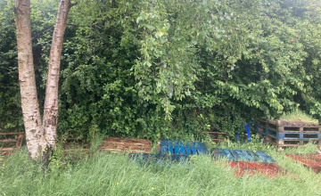 Image 10 of 16