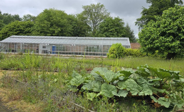Image 10 of 11