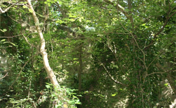 Image 3 of 6