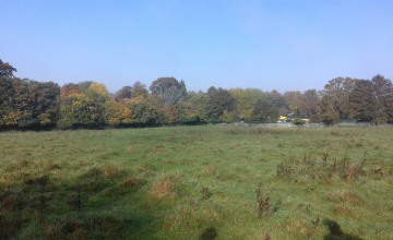 Image 4 of 6