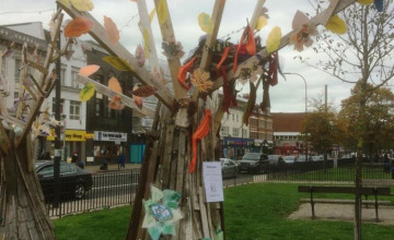 Image 73 of 80