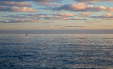 Image 1 of 12