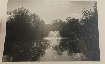 Image 5 of 12