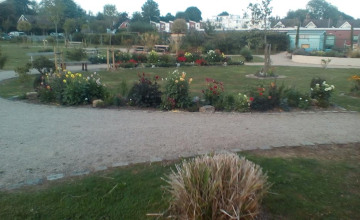 Image 8 of 8