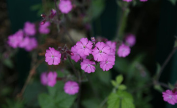 Image 16 of 16