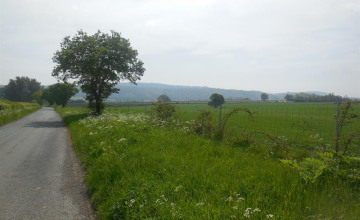 Image 12 of 16
