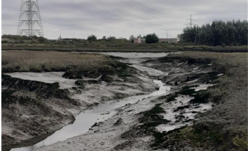 Image 15 of 42