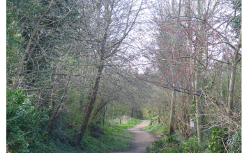 Image 12 of 17