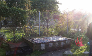 Image 3 of 12