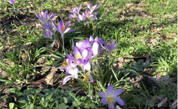 Image 11 of 35