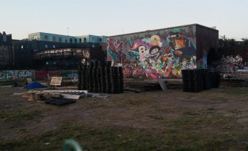 Image 11 of 15