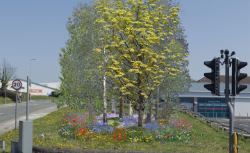 Image 7 of 17