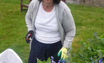Image 15 of 17