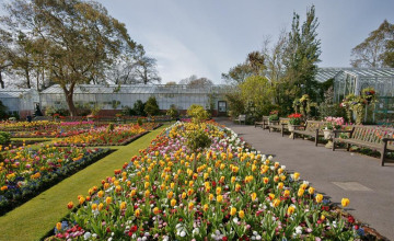 Image 11 of 23