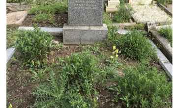 Image 2 of 23