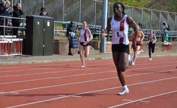 Image 13 of 19