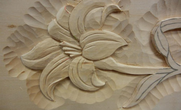 Image 5 of 5