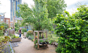 Image 12 of 22