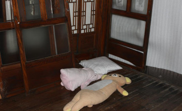 Image 19 of 22