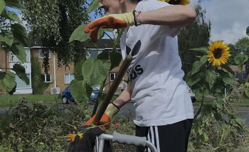 Image 2 of 6