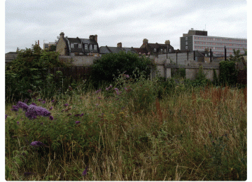 FGCG-site-visit-main.gif