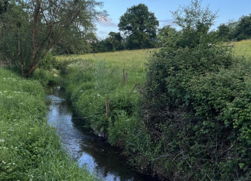river-1.jpg