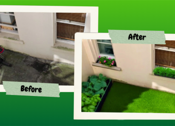 outdoor-garden-1-2.png