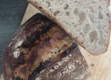 sourdough-rotation.jpg