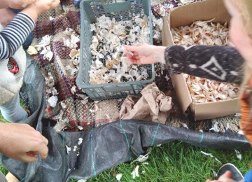 sorting-the-garlic.jpg