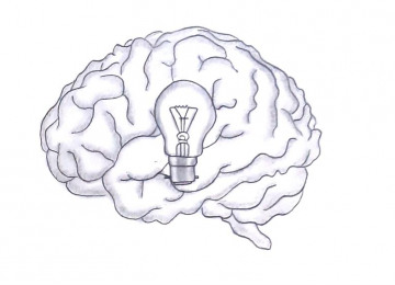 brain-with-a-bulb-1.jpg