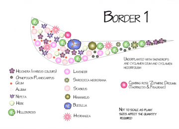 border-1.png